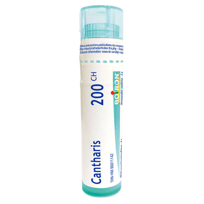 Cantharis